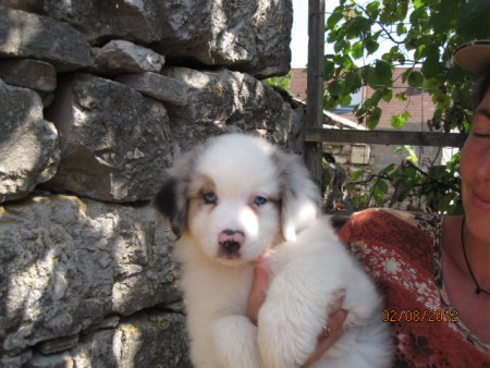 Ilanga le 2 août 2012